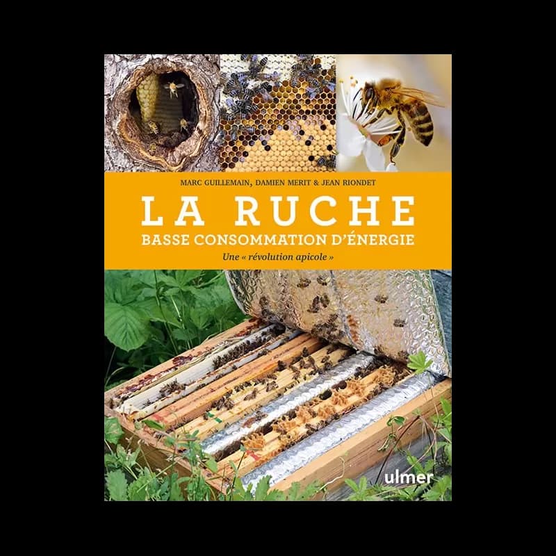 La ruche basse consommation d'énergie