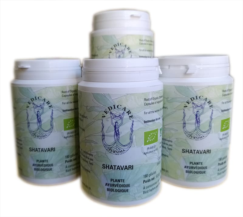 Cure Shatavari bio AB 3 mois