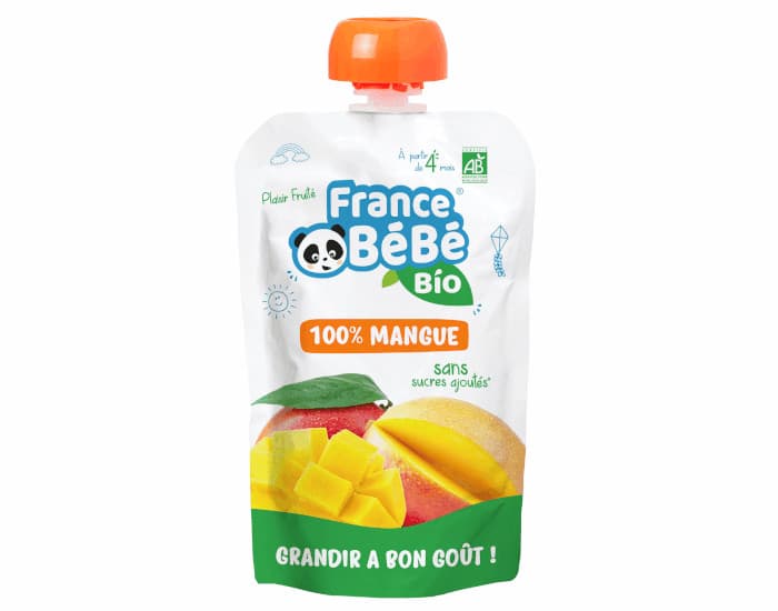 FRANCE BEBE BIO Gourde Mangue - 100g - Dès 4 mois