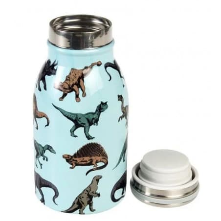 Gourde 250 ml "Prehistoric Land"