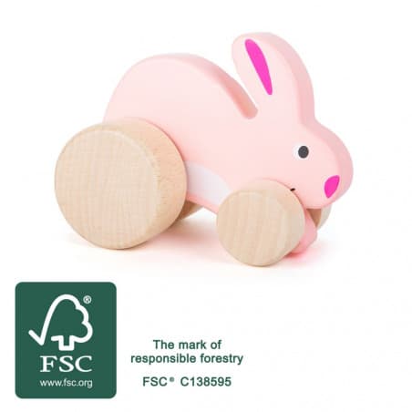 Lapin rose à pousser