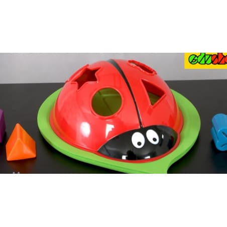 Boite à formes-jeu d'eau"coccinelle"