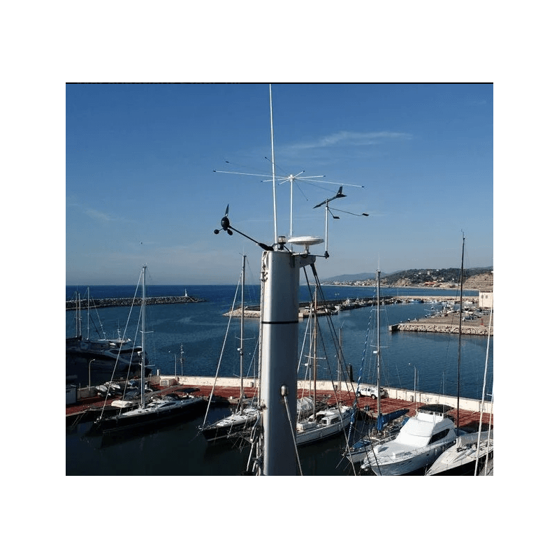Stopgull Topmast - Anti-mouettes