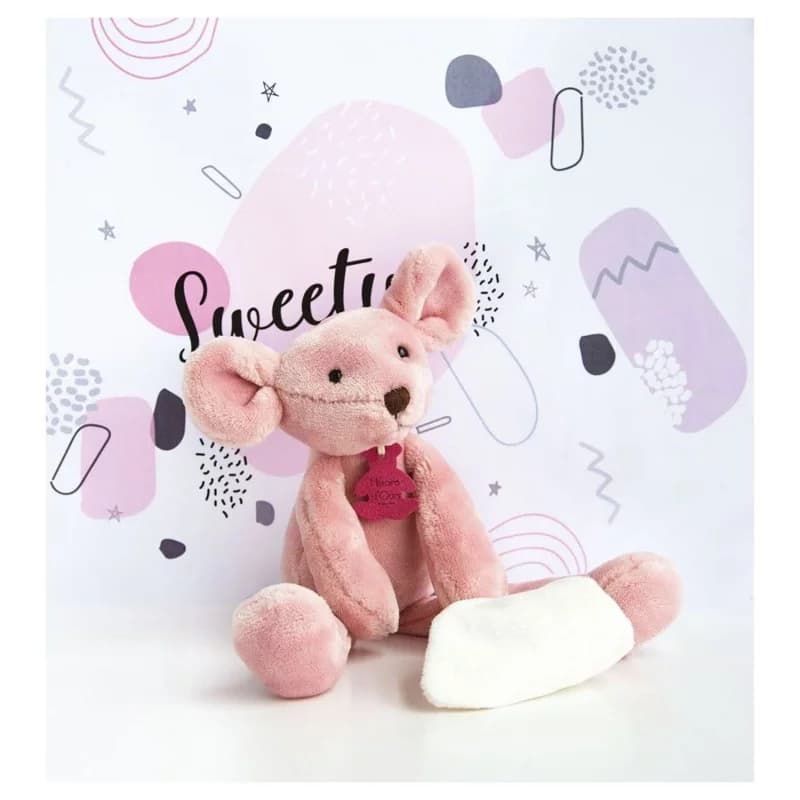 Histoire d'ours - peluche avec son doudou rose