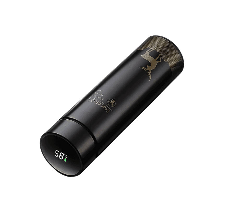 Gourde avec affichage de la température (Couleur: Noir)