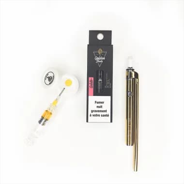 Pack Stache Gold & Golden Buds expert Gelato