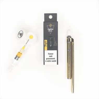 Pack Stache Gold & Golden Buds expert Tangie