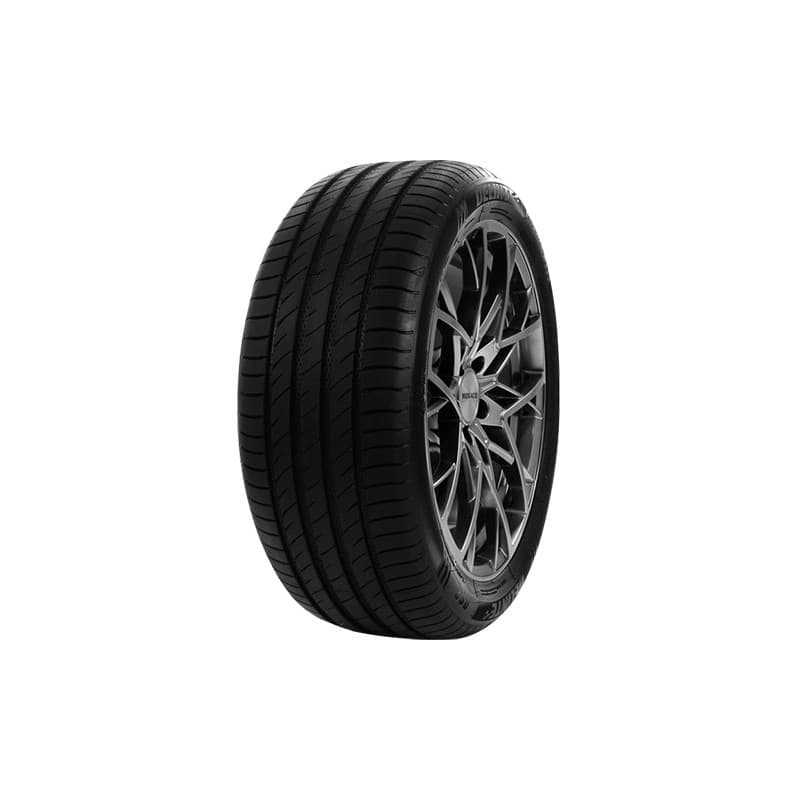 Pneu delinte ds2 245/50 zr18 tl 100w delinte ds2