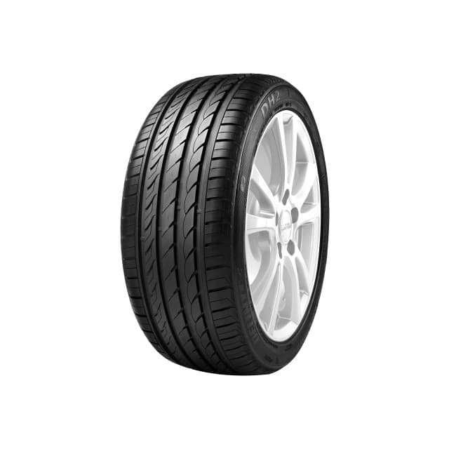 Pneu delinte dh2 205/55 zr16 tl 94w delinte dh2 xl