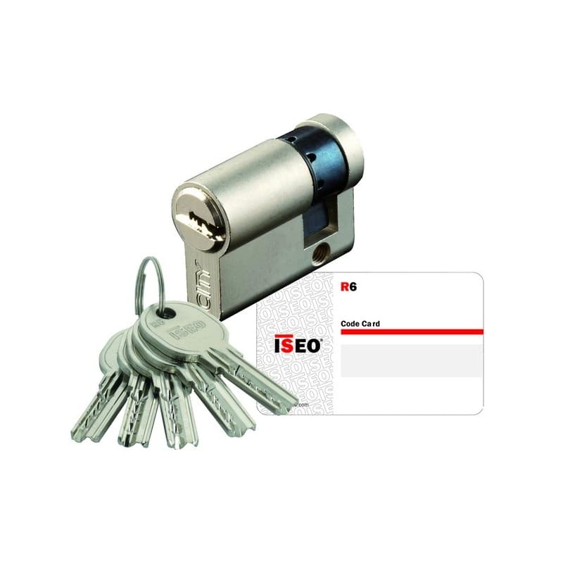 Cylindres de sûreté isr6 nickelé 30 x 10 mm simple s'entrouvant demi-cylindre isr6 30 x 10 mm laiton nickelé 5 clés s'entr. 1 pièce(s) - iseo france