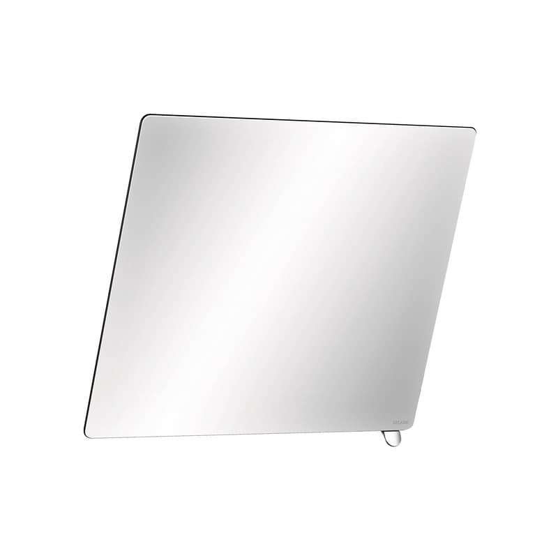 Miroirs inclinables miroir inclinable avec poignée 1 pièce(s) - delabie