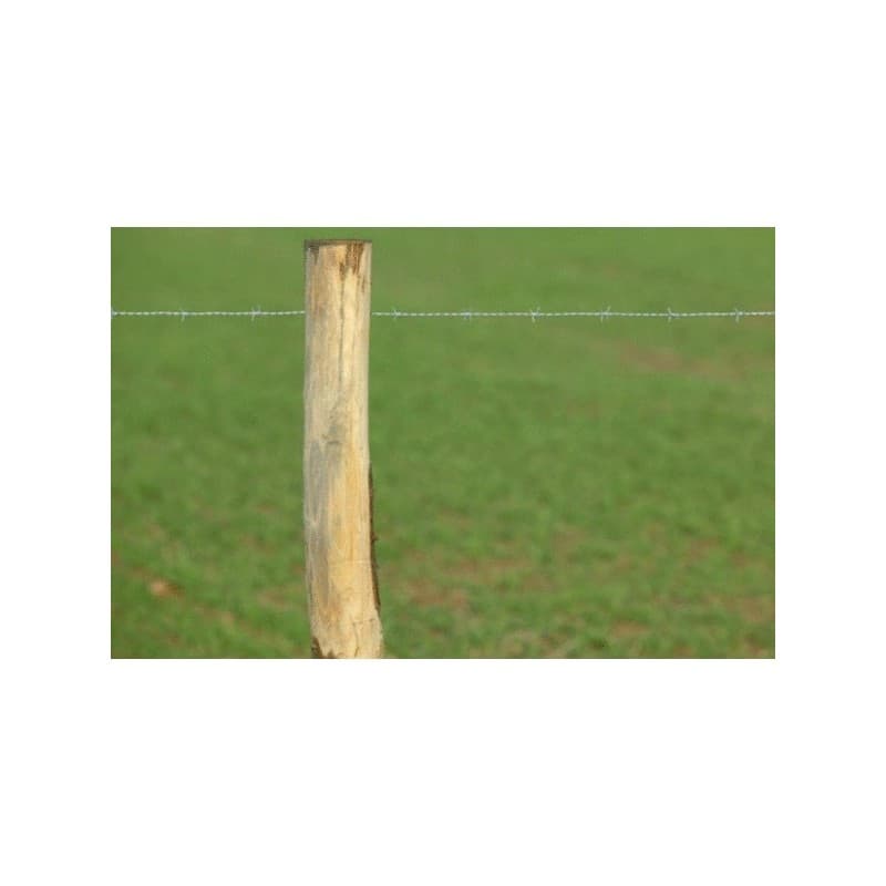 Ronce strongo plazial classique 17-4-10 ronce strongo plazial classique 17-4-10 1 rouleau(x) de 250 mètre(s) linéaire - dirickx