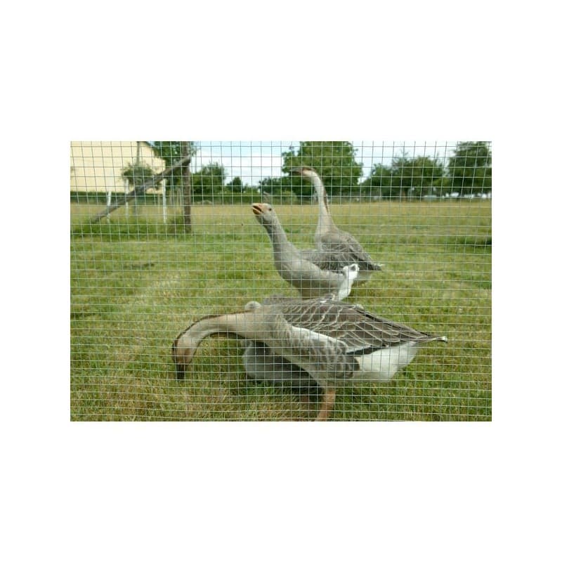 Grillages à volière grillage galva 19 x 19 mm ø fil 1.4 mm ht 1 m 1 rouleau(x) de 25 mètre(s) linéaire - dirickx