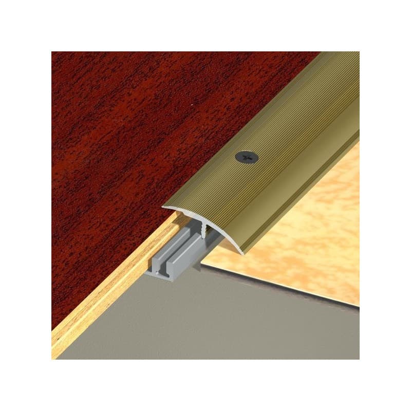 Seuil multi-niveaux aluminium tecnis 1 pièce(s) seuil multi-niveaux tecnis 32 x 930 mm - titium à visser aluminium intérieur intense 0.93 m 32 mm 9 mm