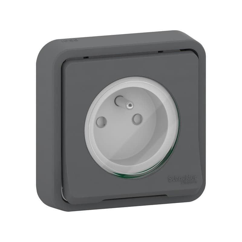 Prise étanche en saillie mureva prise 2p+t mureva gris encastrable 1 pièce(s) monobloc 1 2p+t en saillie - schneider