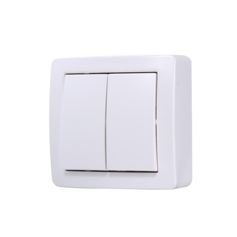 Double va-et-vient alrea blanc polaire double va-et-vient alrea blanc polaire 1 pièce(s) monobloc en saillie double va-et-vient - schneider