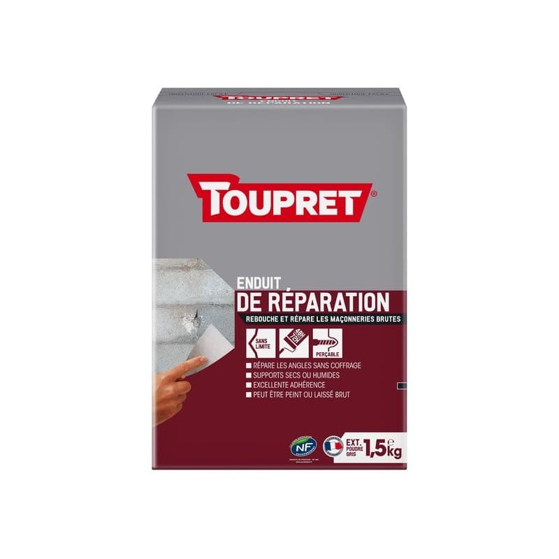 Enduit de réparation extérieur poudre 2 heure(s) enduit de réparation extérieur poudre 1 carton(s) de 1.5 kilogramme(s) rebouchage poudre multisupport
