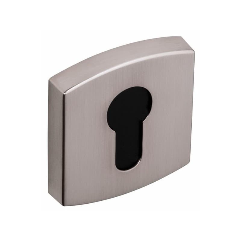 Paire de rosaces muze jeu rosaces 6425 clé i platine chp_fonction_cle_19859__.jpg 0 mm 1 jeu(x) de 2 pièce(s) rosace platine - vachette anjou