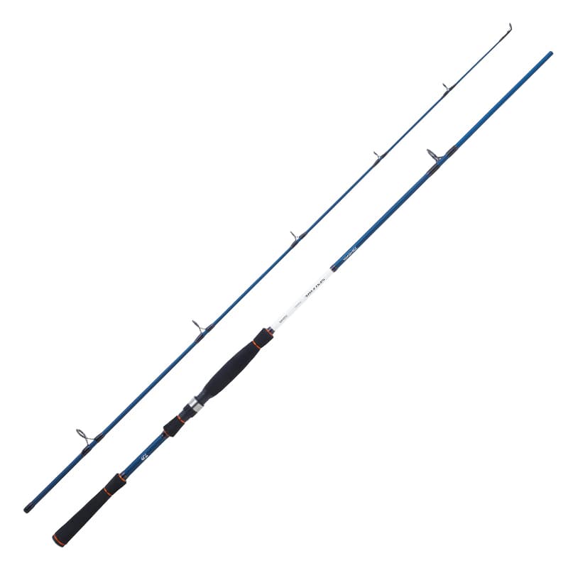 Canne DAIWA Spitfire Seabass 2,40 m