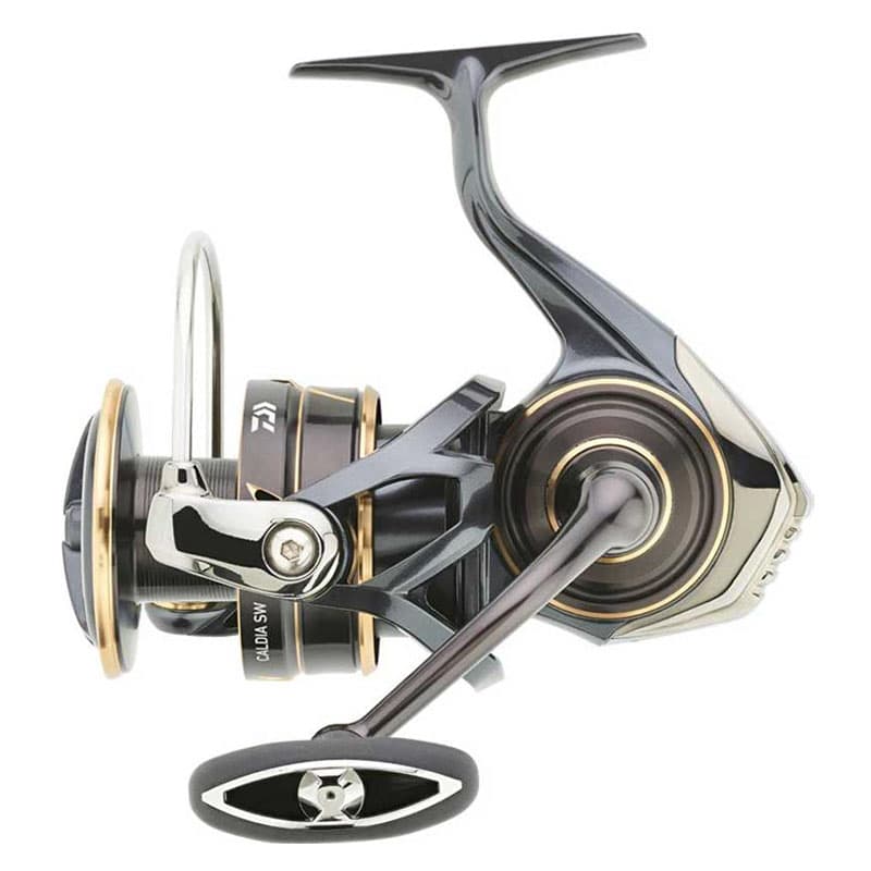 Moulinet DAIWA CALDIA 23 SW 4000 D CXH