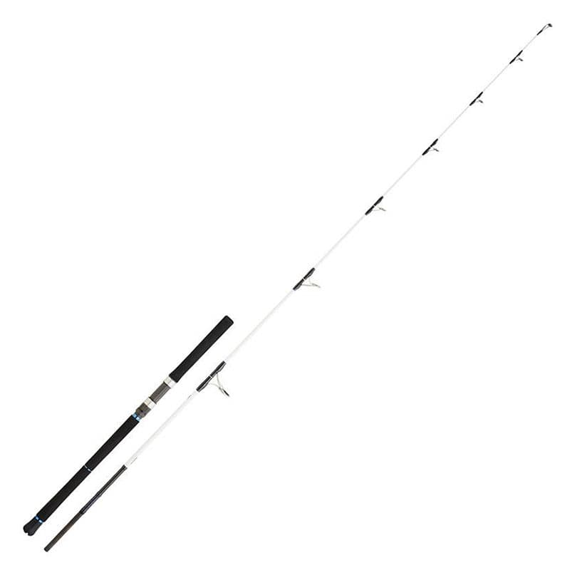 Canne DAIWA Saltist 802 MH TENYA