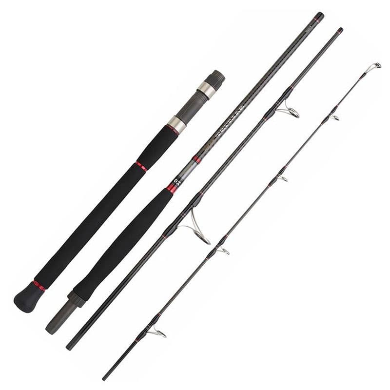 Canne DAIWA Saltist Travel 734 HFS