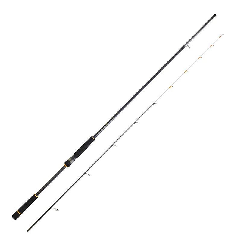 Canne DAIWA Bg 242 H