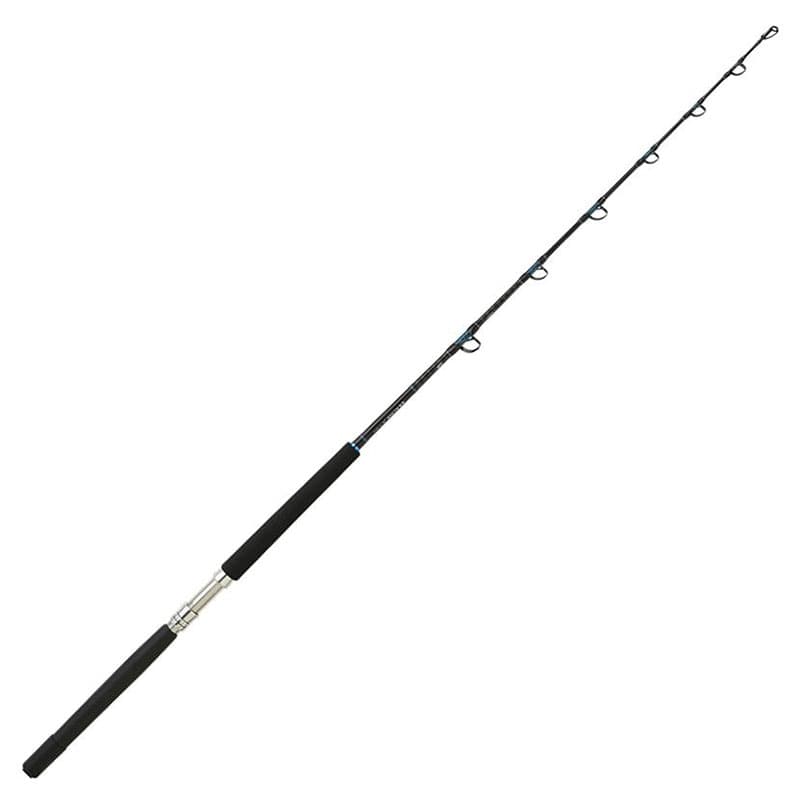 Canne DAIWA Sealine X 100 AG