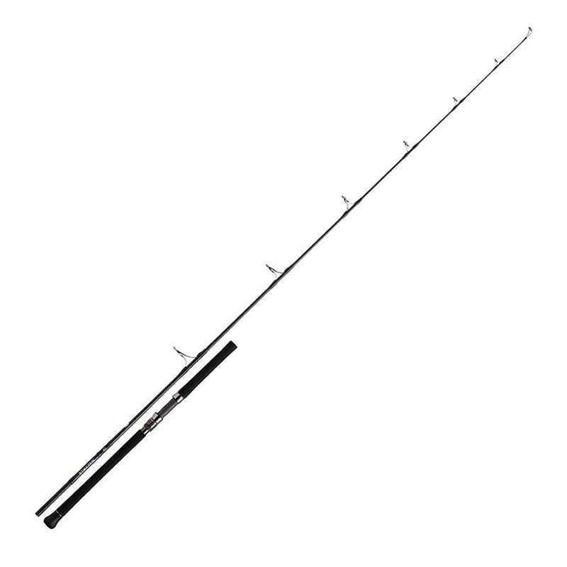 Canne DAIWA Saltiga 85-8