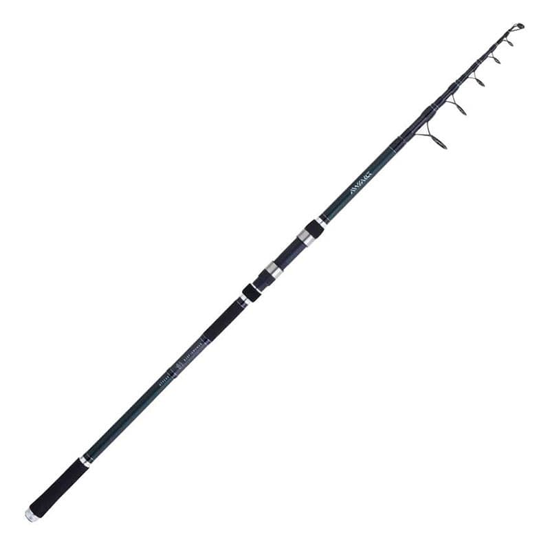 Canne DAIWA Samurai 40 R SL