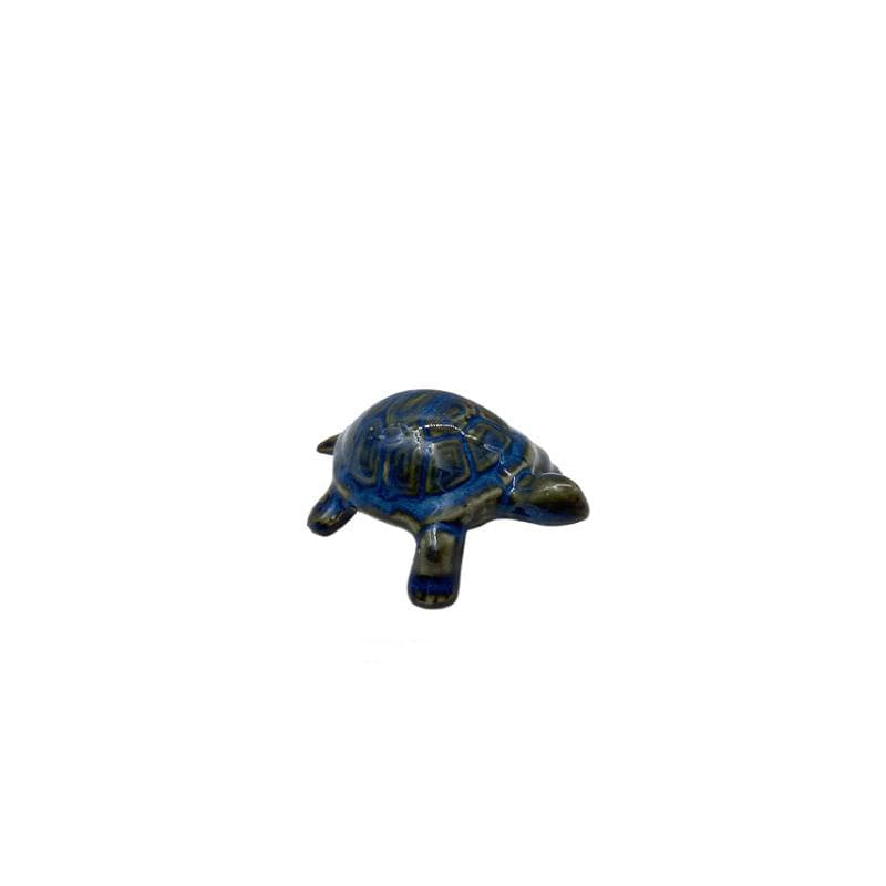 Tortue à poser "Coast"