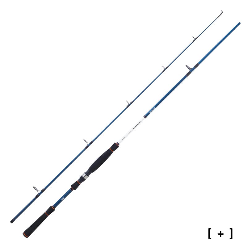 Canne DAIWA Spitfire Seabass 2,10 m