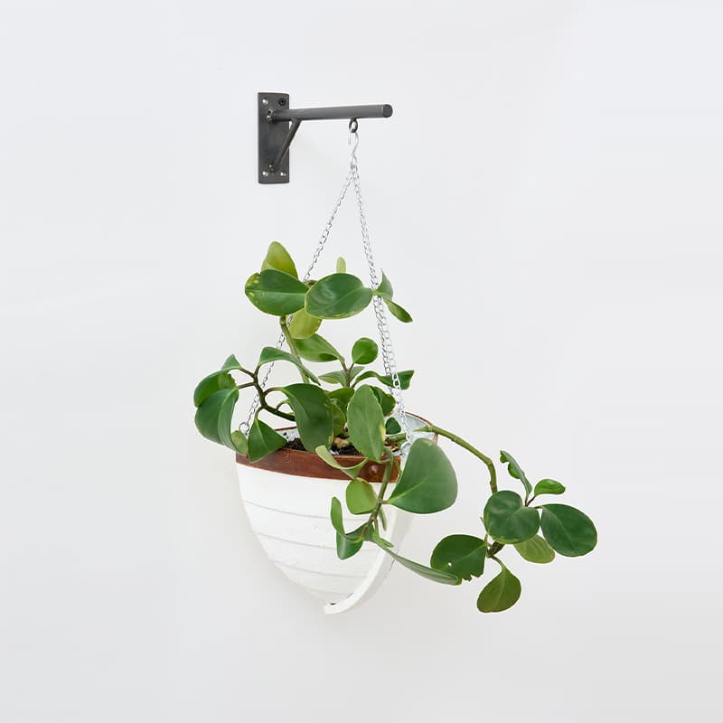 Vase demi-barque à suspendre BATELA DECO