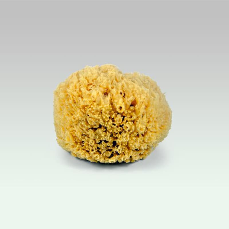 Éponge Naturelle de Méditerranée DOCKSOAP