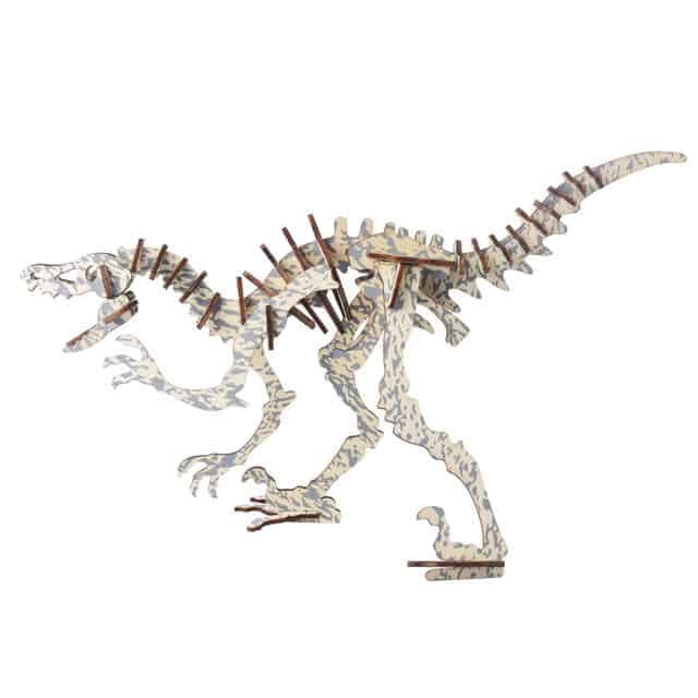 Dinosaur Fossil Puzzle