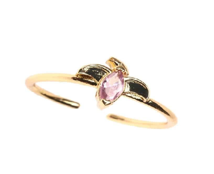 Dinosaur Ring Pterodactyl