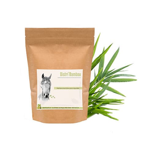 Bambou cheval – Source naturelle de silicium pour les articulations - 