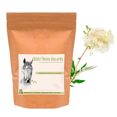 Reine des prés pour chevaux - 