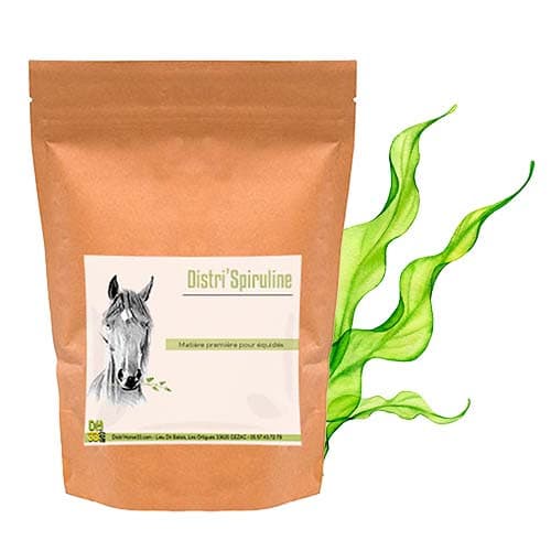 Spiruline - Protéines et Minéraux - 