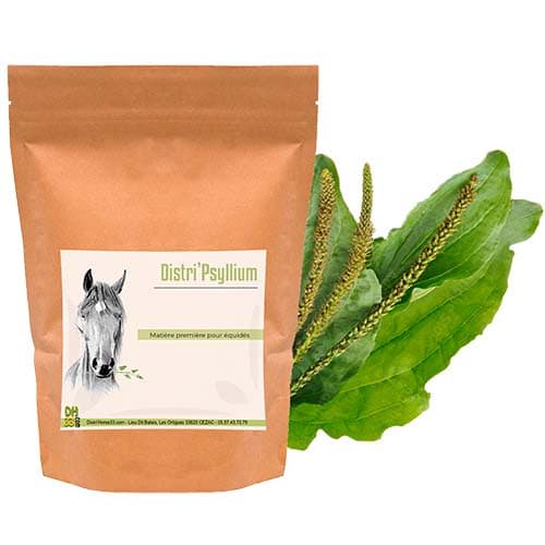 Psyllium cheval - Colique de sable - 