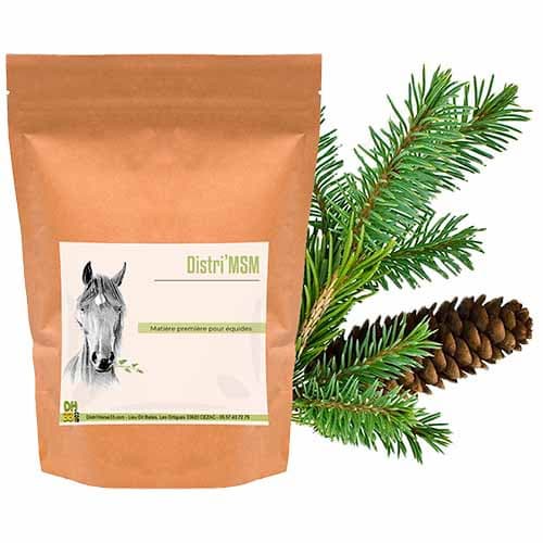 MSM pour cheval : Source de soufre, 100% pur - 