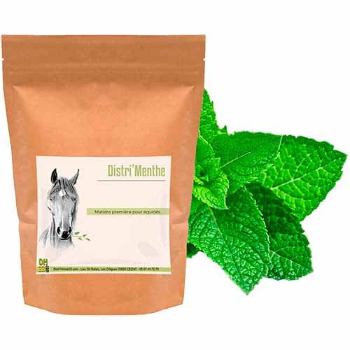 Menthe Cheval - Confort digestif - 