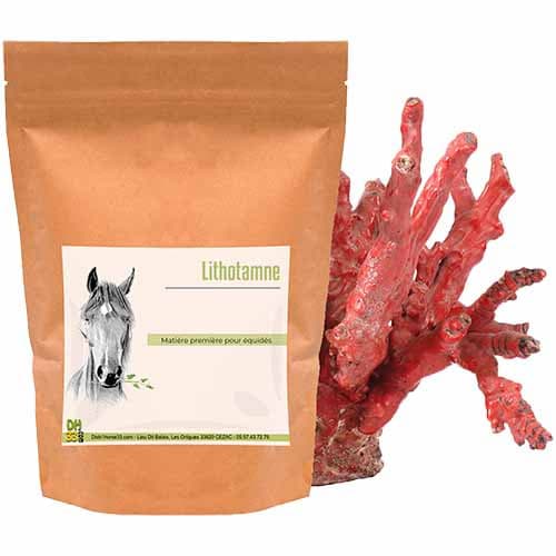 🌿 Lithothamne cheval – Anti-acidité, calcium & confort digestif - 