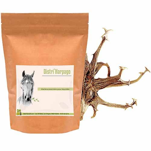Harpagophytum - confort articulaire & arthrose - Plante Pure - 