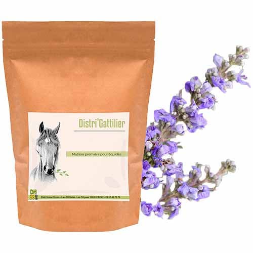 Distri'Gattilier - Emotionnel cheval - 