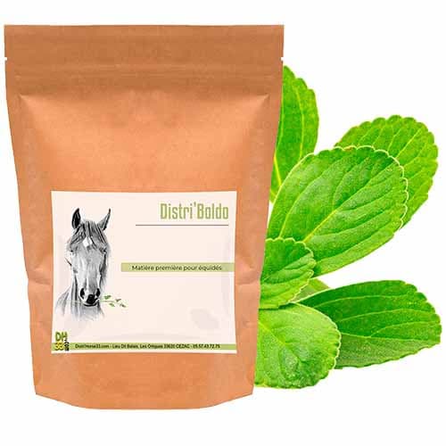 Boldo Cheval - Plante dépurative - Plante Pure - 