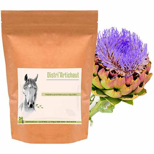 Artichaut Cheval - Drainant naturel - 