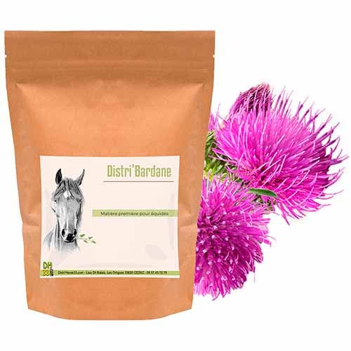 Bardane Cheval - Détoxifiant naturel - DistriHorse33 - 