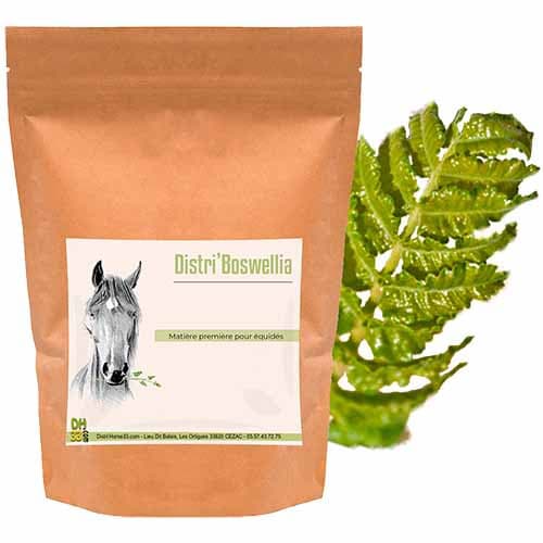 Distri'Boswellia - Arthrose du cheval - DistriHorse33 - 
