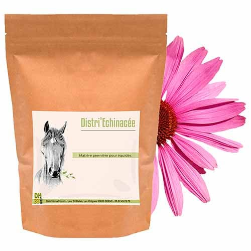 Echinacée Cheval - Accompagne les défenses immunitaires - 